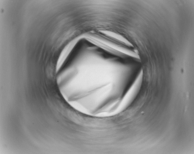 X0000088660044200706152043