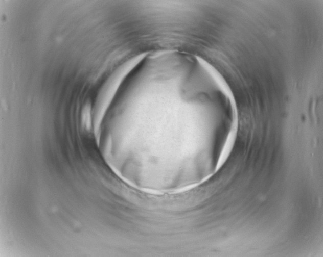 X0000088660046200706152043