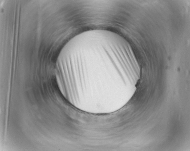 X0000088660048200706152043