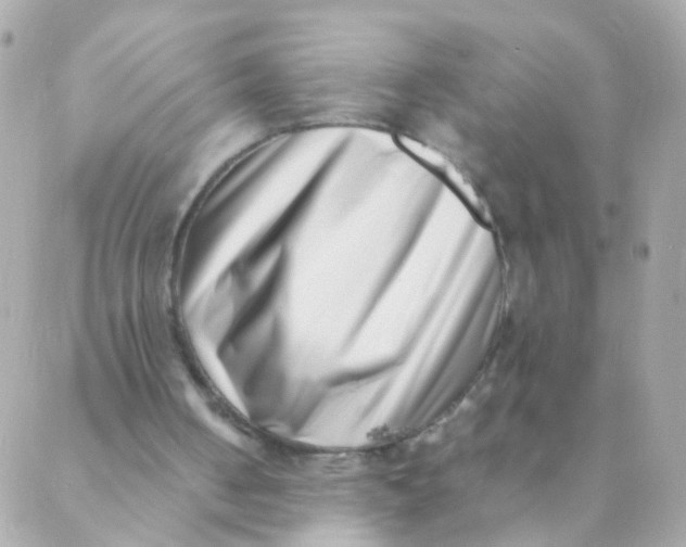 X0000088660050200706152043