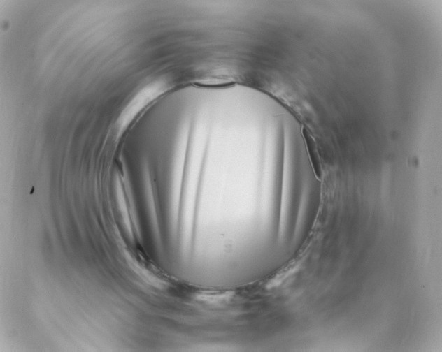 X0000088660051200706152043