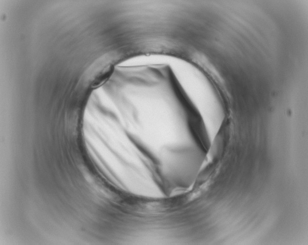 X0000088660058200706152043