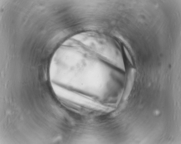 X0000088660062200706152043