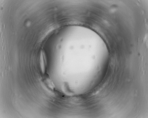 X0000088660063200706152043