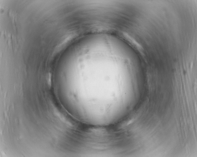 X0000088660067200706152043