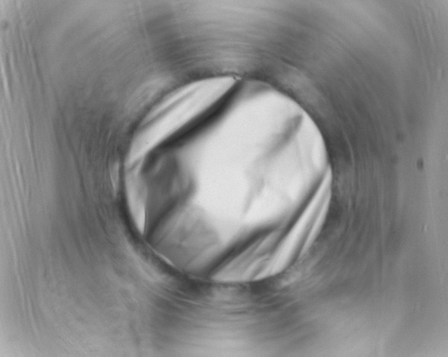 X0000088660070200706152043