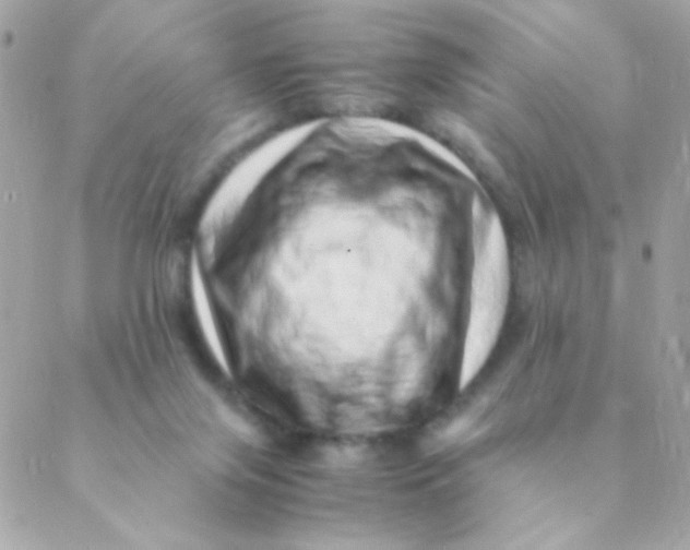 X0000088660071200706152043