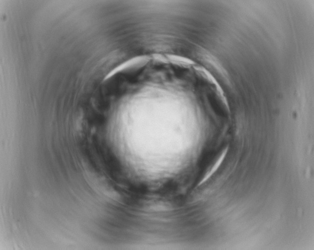 X0000088660073200706152043