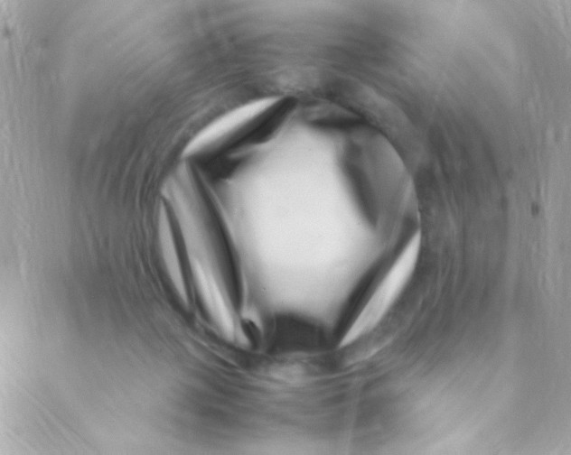 X0000088660075200706152043