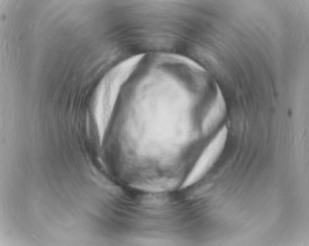 X0000088660077200706152043