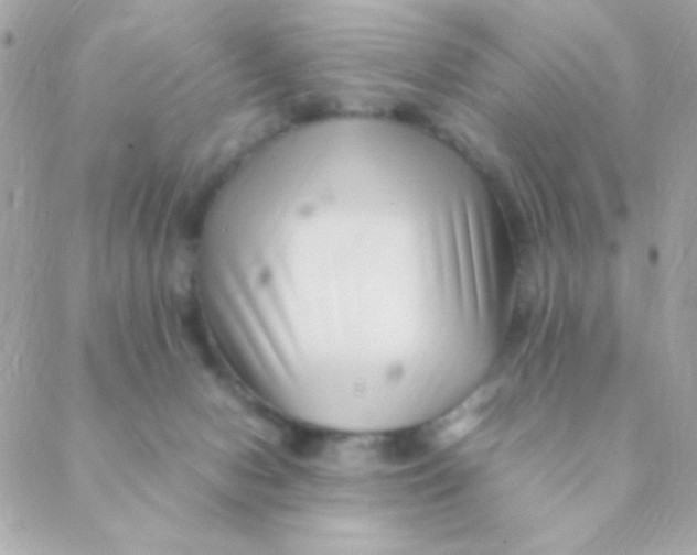 X0000088660078200706152043