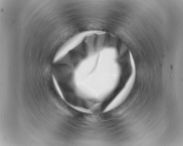 X0000088660079200706152043
