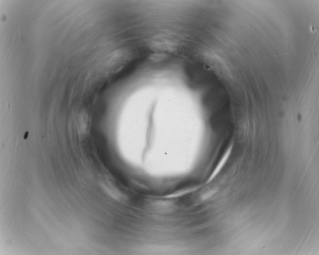 X0000088660081200706152043