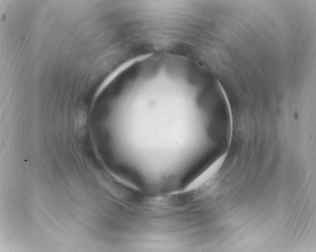 X0000088660082200706152043