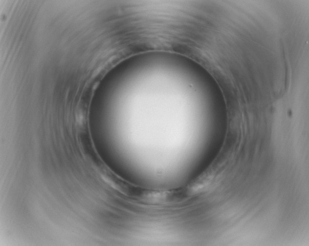 X0000088660084200706152043