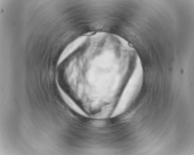 X0000088660085200706152043