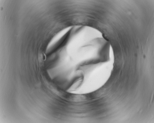 X0000088660087200706152043