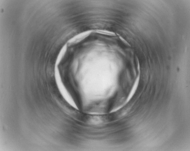 X0000088660091200706152043