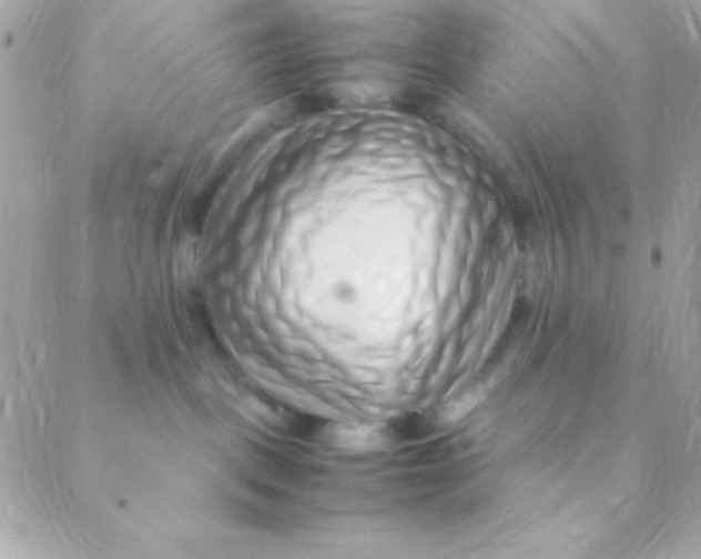 X0000088660093200706152043