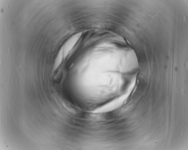 X0000088660095200706152043