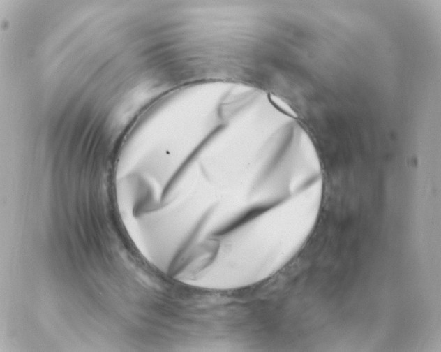 X0000088660098200706152042