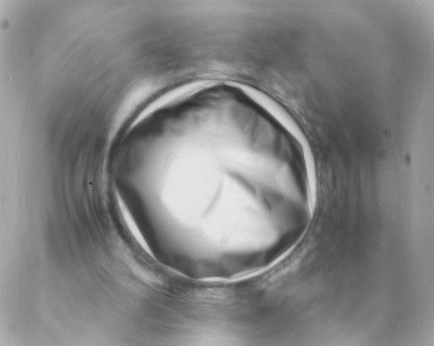 X0000088660102200706152042