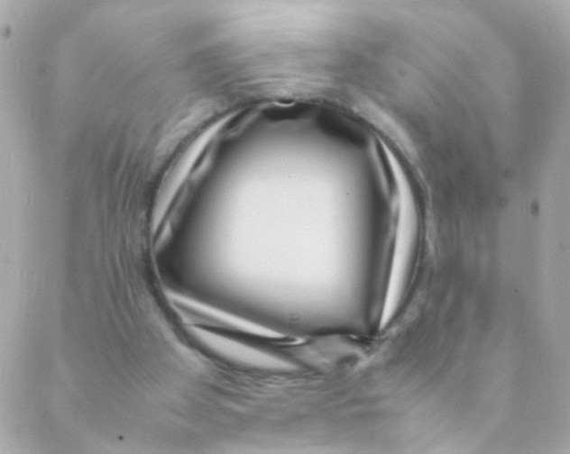 X0000088660105200706152042