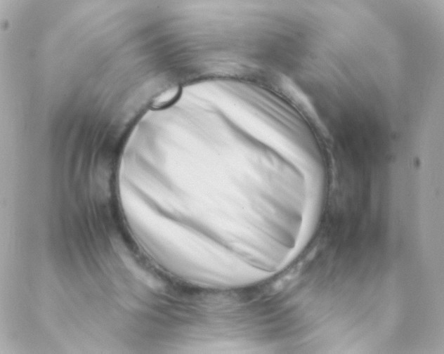 X0000088660106200706152042