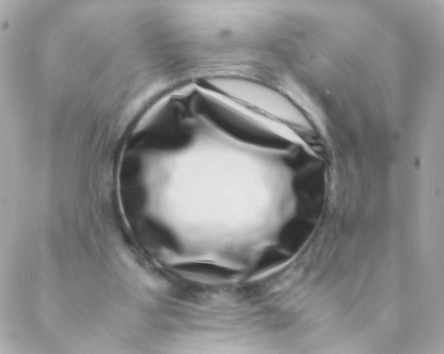X0000088660107200706152042