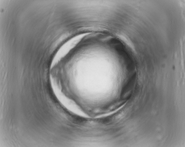 X0000088660111200706152042