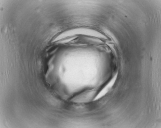 X0000088660113200706152042