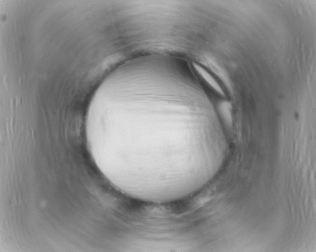 X0000088660115200706152042