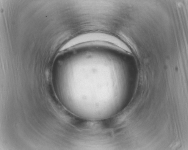 X0000088660117200706152042