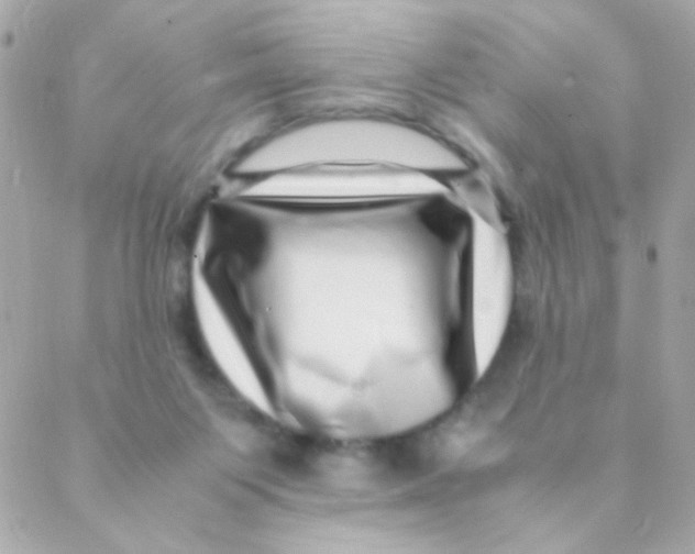 X0000088660119200706152042
