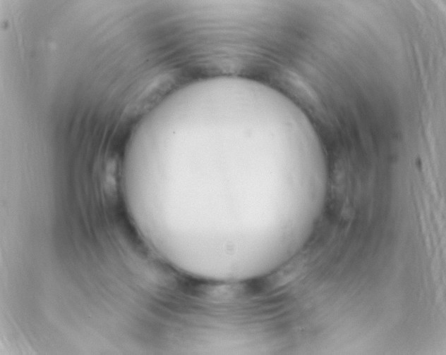 X0000088660122200706152042