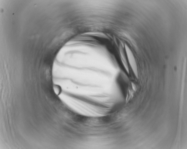 X0000088660123200706152042