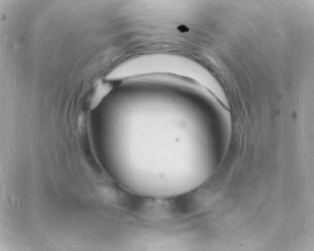 X0000088660125200706152042