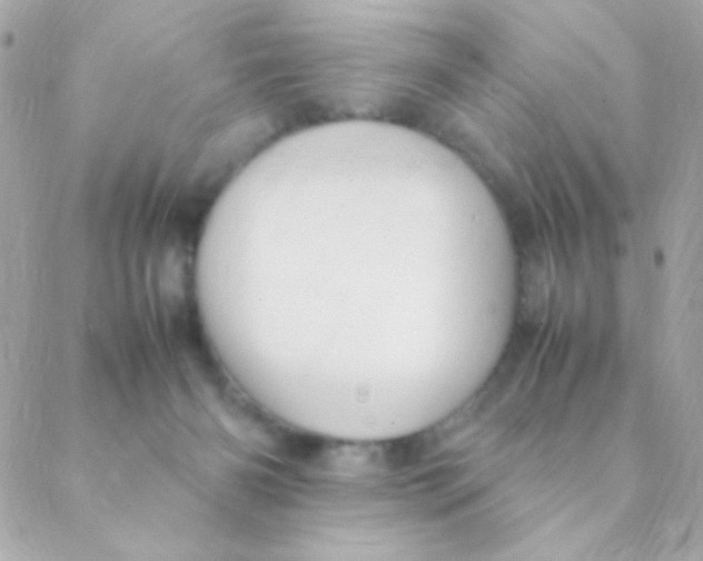X0000088660126200706152042
