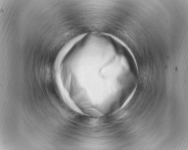 X0000088660130200706152042