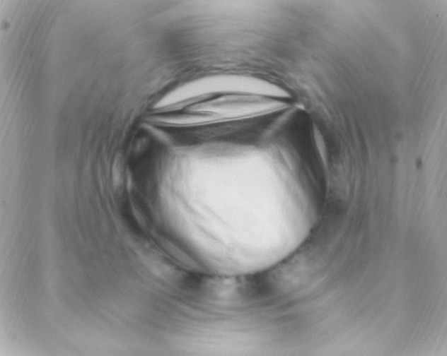 X0000088660131200706152042