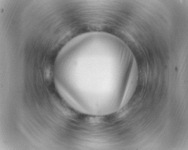 X0000088660134200706152042