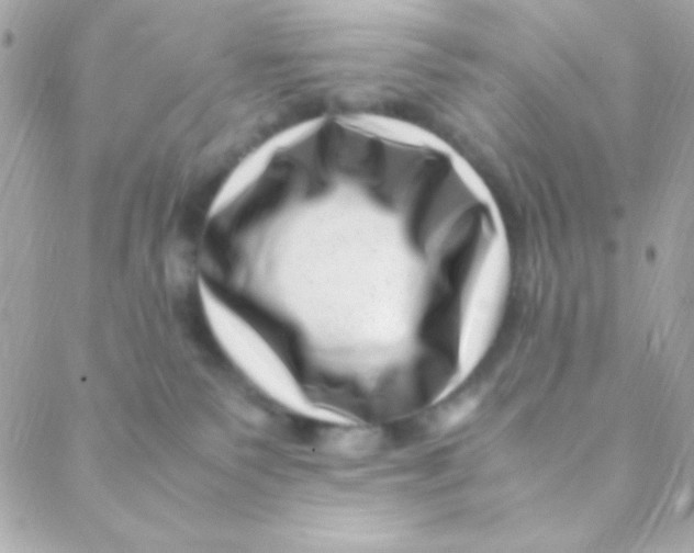 X0000088660135200706152042