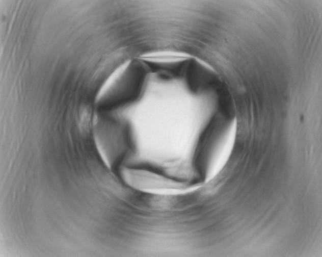 X0000088660142200706152042