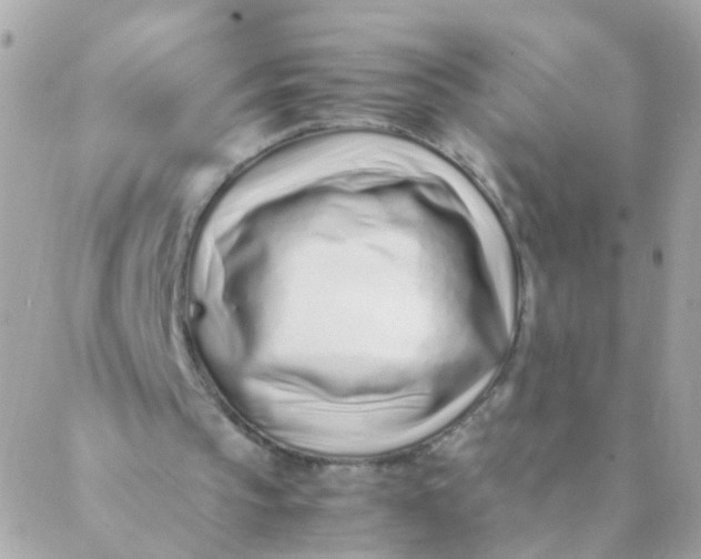 X0000088660145200706152041