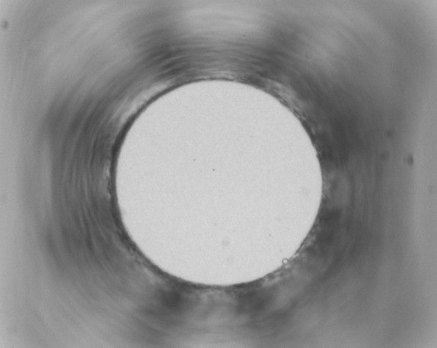 X0000088660146200706152041