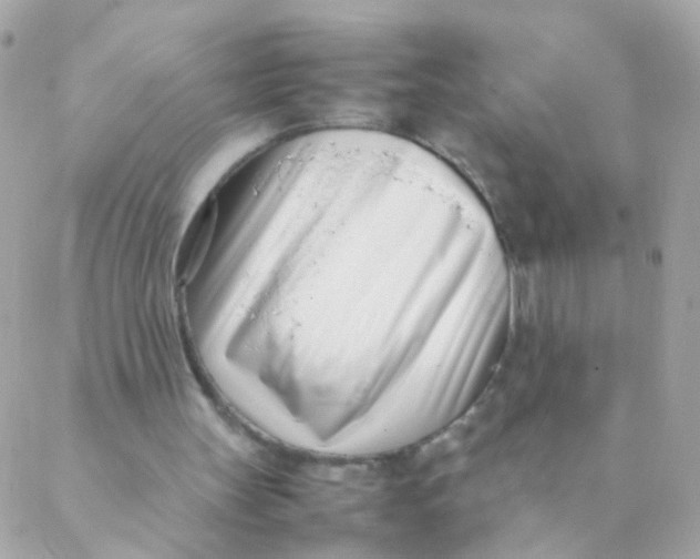 X0000088660147200706152041