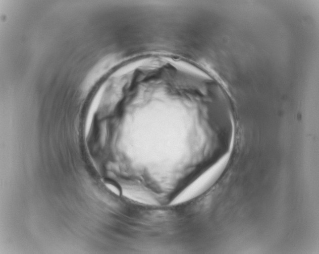 X0000088660151200706152041