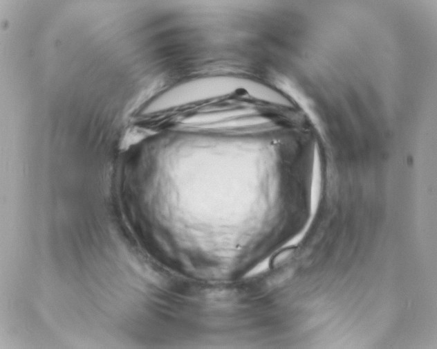 X0000088660153200706152041