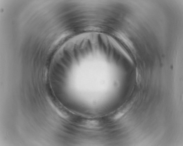 X0000088660157200706152041