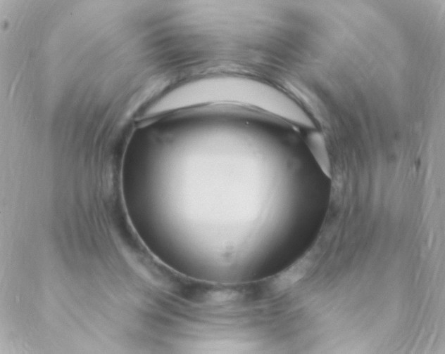 X0000088660158200706152041